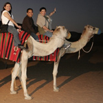 camel drive