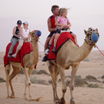 camel drive